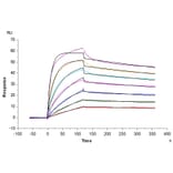 SPR Assay - Recombinant Human CD134/OX40L Receptor Protein (C-terminal His and Avi Tag) (A330227) - Antibodies.com