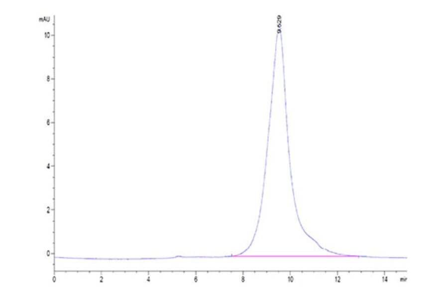 SEC-HPLC - Recombinant Human CD137 Protein (Biotin) (C-terminal His and Avi Tag) (A330230) - Antibodies.com