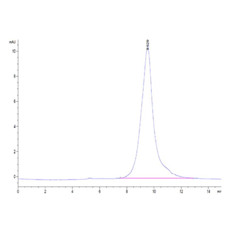 SEC-HPLC - Recombinant Human CD137 Protein (Biotin) (C-terminal His and Avi Tag) (A330230) - Antibodies.com