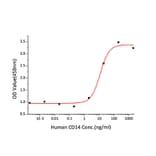 Standard Curve - Recombinant Human CD14 Protein (C-terminal His Tag) (A330232) - Antibodies.com