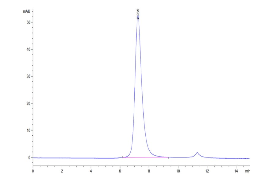 SEC-HPLC - Recombinant Human CD16 Protein (Biotin) (C-terminal His and Avi Tag) (A330239) - Antibodies.com