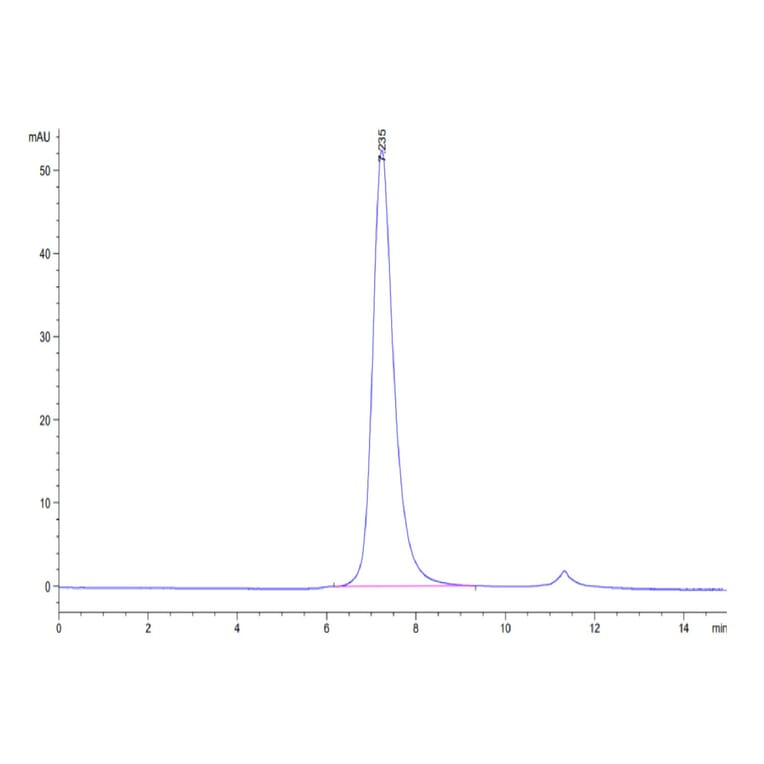 SEC-HPLC - Recombinant Human CD16 Protein (Biotin) (C-terminal His and Avi Tag) (A330239) - Antibodies.com