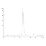 SEC-HPLC - Recombinant Human CD16 Protein (Biotin) (C-terminal His and Avi Tag) (A330239) - Antibodies.com