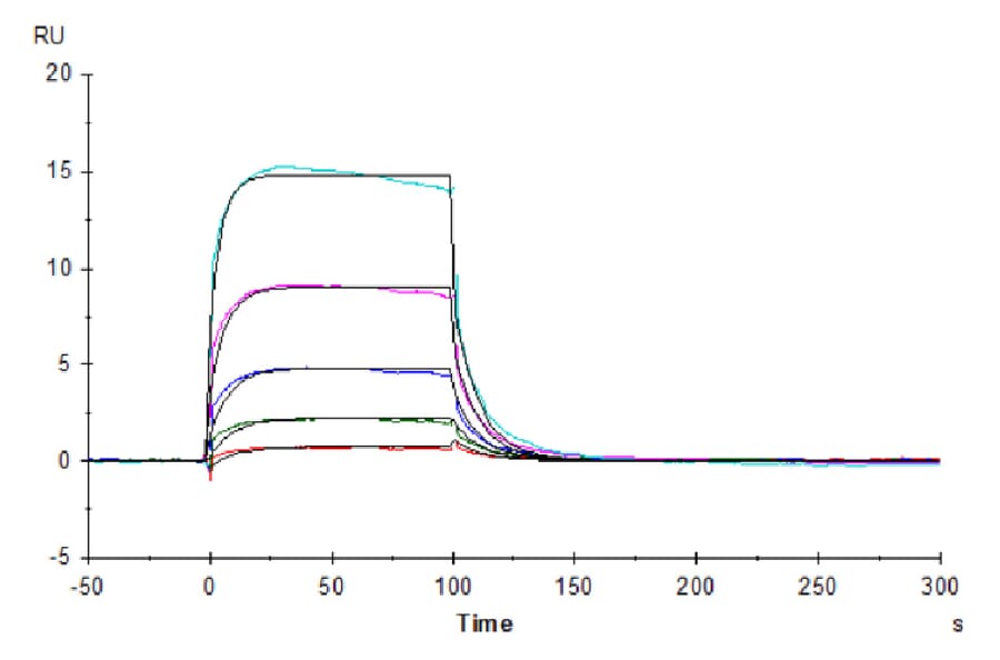 SPR Assay - Recombinant Human CD16 Protein (Biotin) (C-terminal His and Avi Tag) (A330239) - Antibodies.com