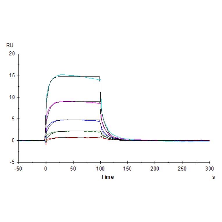 SPR Assay - Recombinant Human CD16 Protein (Biotin) (C-terminal His and Avi Tag) (A330239) - Antibodies.com