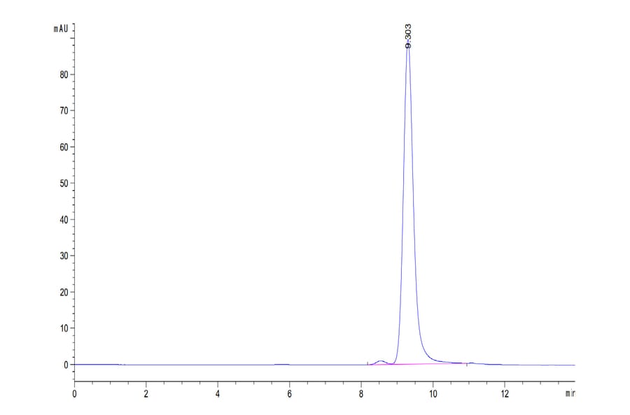 SEC-HPLC - Recombinant Human CD161 Protein (Biotin) (C-terminal His and Avi Tag) (A330241) - Antibodies.com