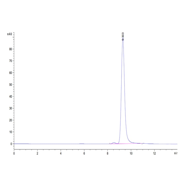 SEC-HPLC - Recombinant Human CD161 Protein (Biotin) (C-terminal His and Avi Tag) (A330241) - Antibodies.com