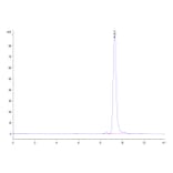 SEC-HPLC - Recombinant Human CD161 Protein (Biotin) (C-terminal His and Avi Tag) (A330241) - Antibodies.com