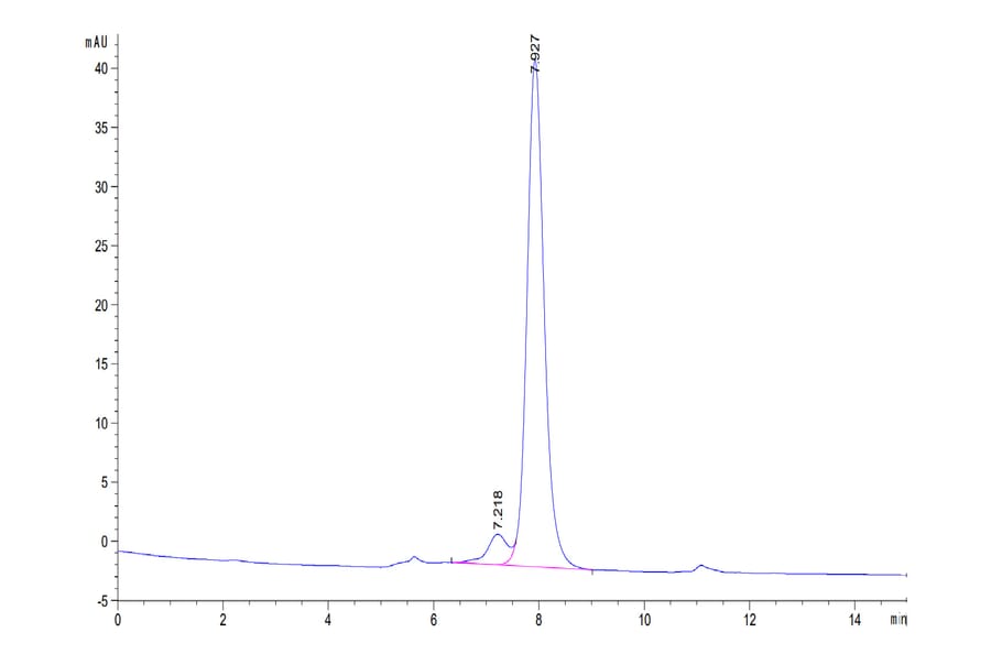 SEC-HPLC - Recombinant Human CD161 Protein (C-terminal Human Fc Tag) (A330242) - Antibodies.com