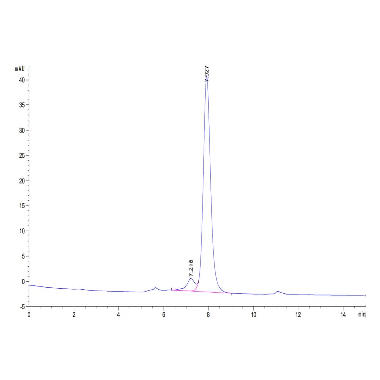 SEC-HPLC - Recombinant Human CD161 Protein (C-terminal Human Fc Tag) (A330242) - Antibodies.com