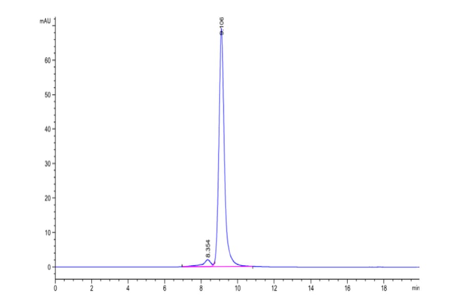 SEC-HPLC - Recombinant Human CD161 Protein (C-terminal His Tag) (A330243) - Antibodies.com