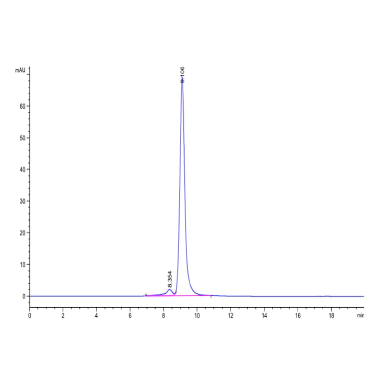 SEC-HPLC - Recombinant Human CD161 Protein (C-terminal His Tag) (A330243) - Antibodies.com