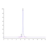 SEC-HPLC - Recombinant Human CD161 Protein (C-terminal His Tag) (A330243) - Antibodies.com