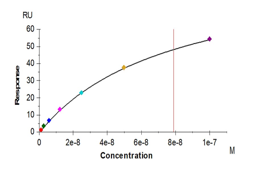 SPR Assay - Recombinant Human CD161 Protein (C-terminal His Tag) (A330243) - Antibodies.com