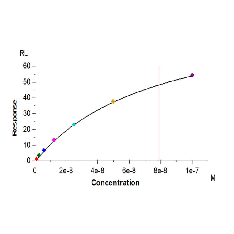 SPR Assay - Recombinant Human CD161 Protein (C-terminal His Tag) (A330243) - Antibodies.com