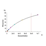 SPR Assay - Recombinant Human CD161 Protein (C-terminal His Tag) (A330243) - Antibodies.com