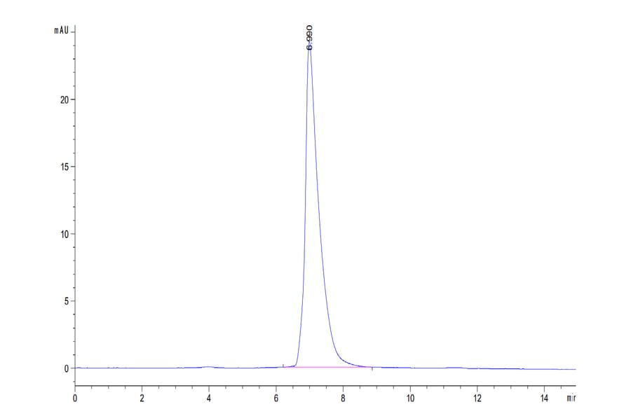 SEC-HPLC - Recombinant Human CD166 Protein (Biotin) (C-terminal His and Avi Tag) (A330247) - Antibodies.com