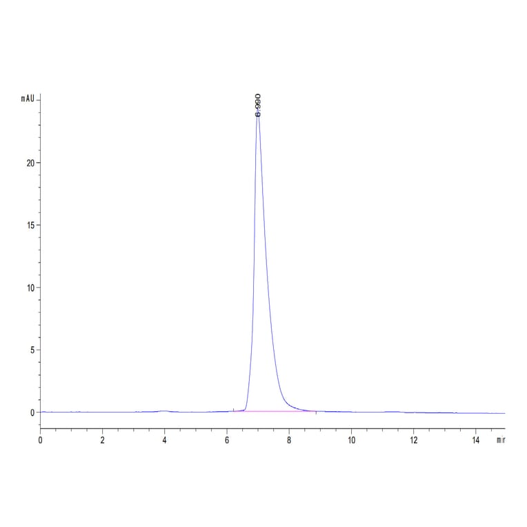 SEC-HPLC - Recombinant Human CD166 Protein (Biotin) (C-terminal His and Avi Tag) (A330247) - Antibodies.com
