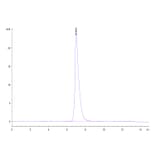 SEC-HPLC - Recombinant Human CD166 Protein (Biotin) (C-terminal His and Avi Tag) (A330247) - Antibodies.com