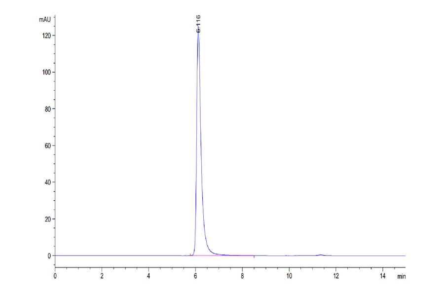 SEC-HPLC - Recombinant Human CD166 Protein (C-terminal His Tag) (A330249) - Antibodies.com