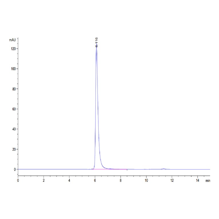 SEC-HPLC - Recombinant Human CD166 Protein (C-terminal His Tag) (A330249) - Antibodies.com