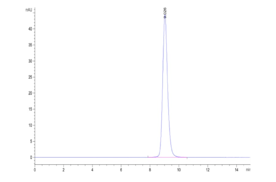 SEC-HPLC - Recombinant Human CD16b Protein (C-terminal His Tag) (A330251) - Antibodies.com