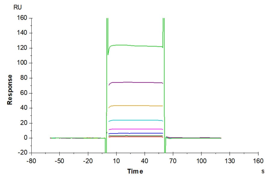 SPR Assay - Recombinant Human CD16b Protein (C-terminal His Tag) (A330251) - Antibodies.com