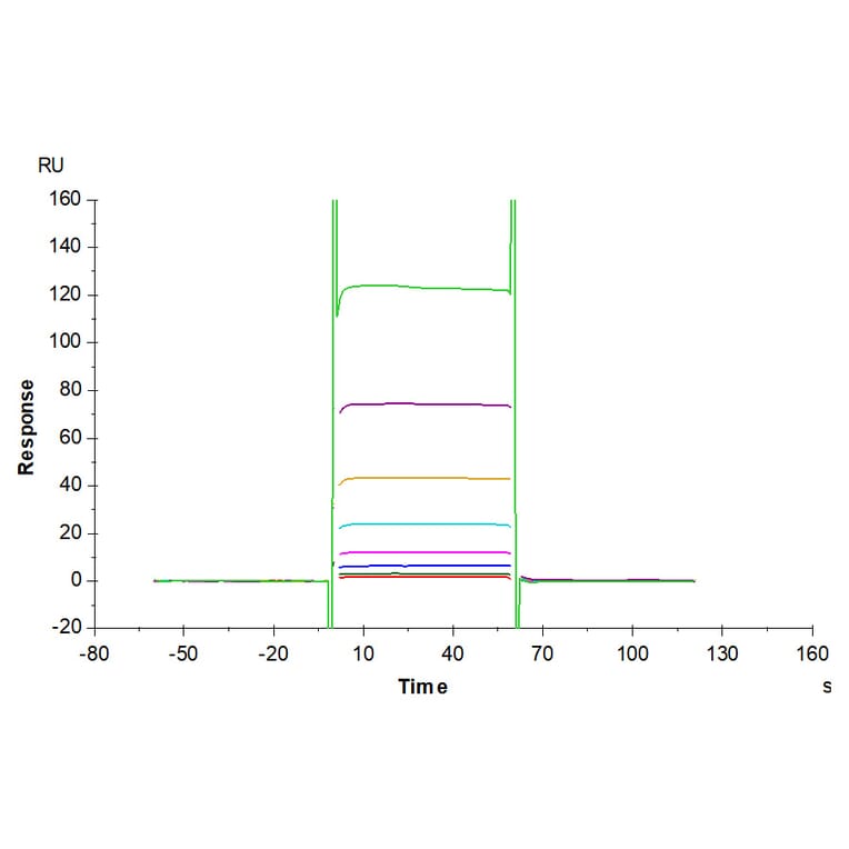 SPR Assay - Recombinant Human CD16b Protein (C-terminal His Tag) (A330251) - Antibodies.com