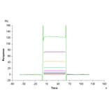 SPR Assay - Recombinant Human CD16b Protein (C-terminal His Tag) (A330251) - Antibodies.com