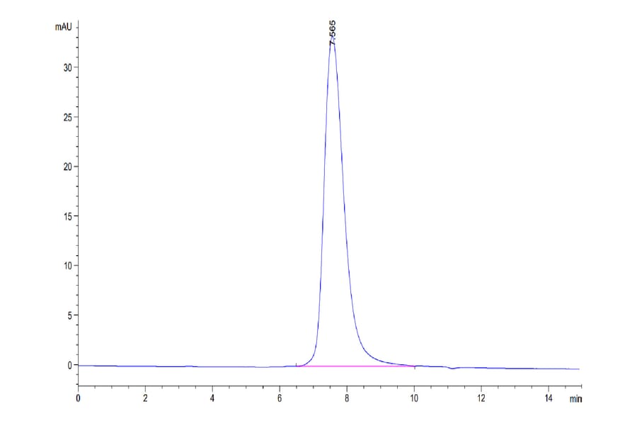 SEC-HPLC - Recombinant Human CD16b Protein (Biotin) (C-terminal His and Avi Tag) (A330252) - Antibodies.com
