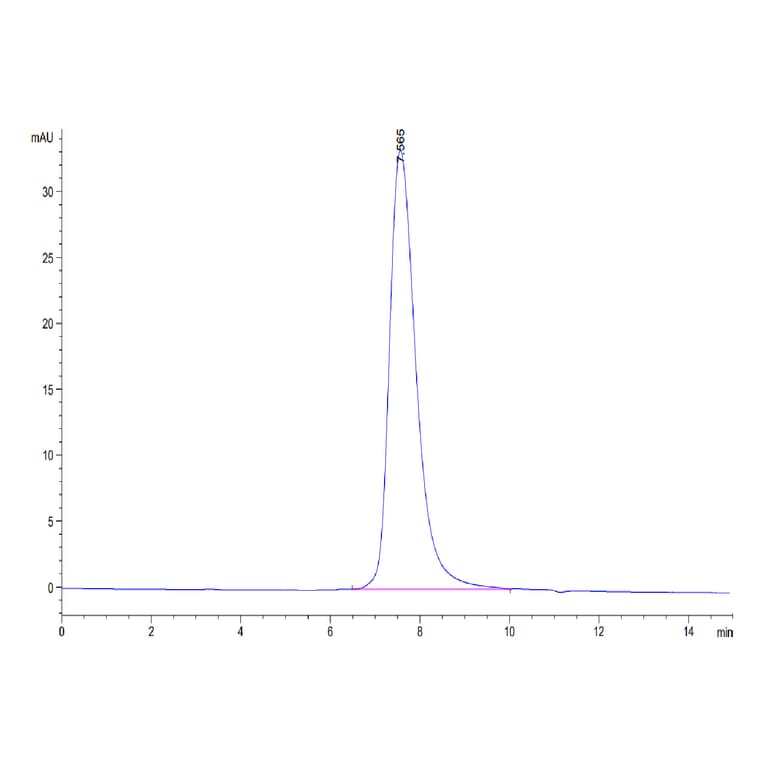 SEC-HPLC - Recombinant Human CD16b Protein (Biotin) (C-terminal His and Avi Tag) (A330252) - Antibodies.com