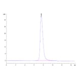 SEC-HPLC - Recombinant Human CD16b Protein (Biotin) (C-terminal His and Avi Tag) (A330252) - Antibodies.com