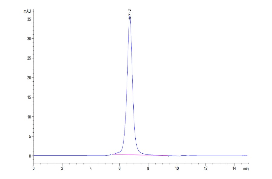 SEC-HPLC - Recombinant Human CD16b Protein (C-terminal His and Avi Tag) (A330253) - Antibodies.com