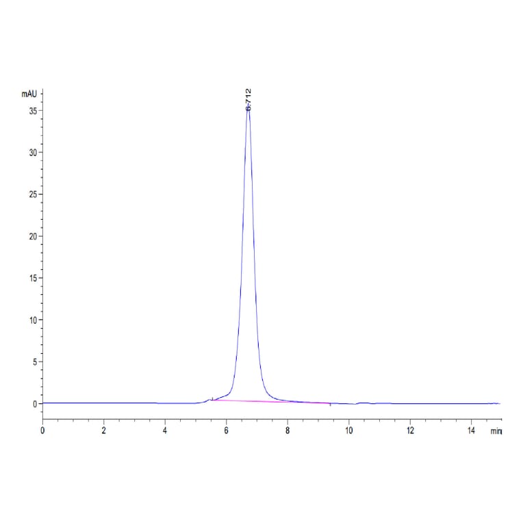 SEC-HPLC - Recombinant Human CD16b Protein (C-terminal His and Avi Tag) (A330253) - Antibodies.com