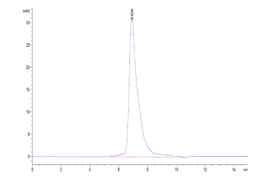 SEC-HPLC - Recombinant Human CD172 gamma Protein (Biotin) (C-terminal His and Avi Tag) (A330254) - Antibodies.com