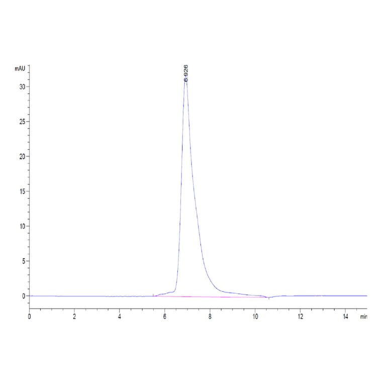SEC-HPLC - Recombinant Human CD172 gamma Protein (Biotin) (C-terminal His and Avi Tag) (A330254) - Antibodies.com