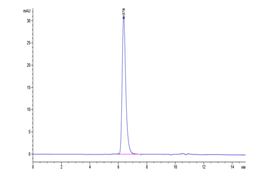 SEC-HPLC - Recombinant Human CD172 gamma Protein (C-terminal His and Avi Tag) (A330255) - Antibodies.com