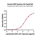 Standard Curve - Recombinant Human CD172 gamma Protein (C-terminal His and Avi Tag) (A330255) - Antibodies.com