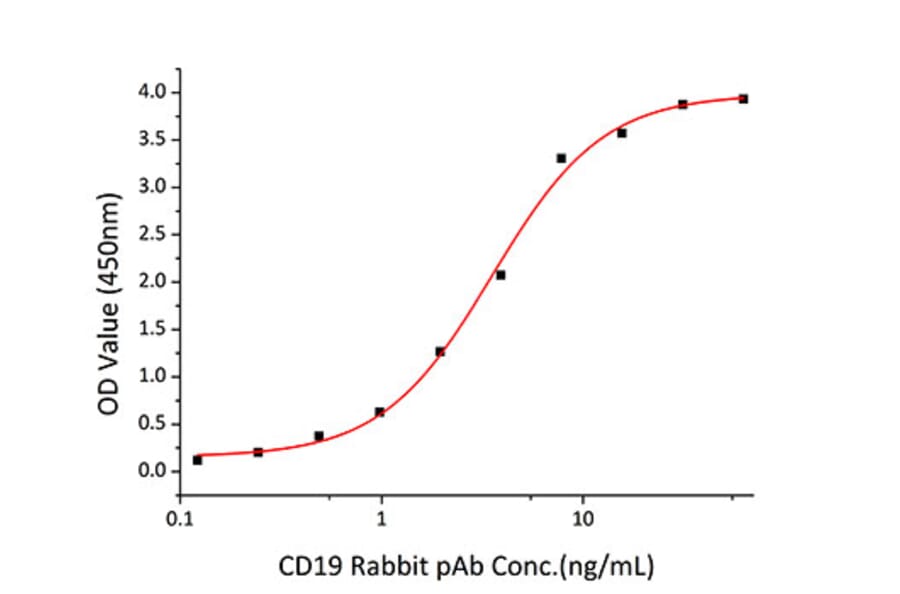 Standard Curve - Recombinant Human CD19 Protein (C-terminal His Tag) (A330258) - Antibodies.com
