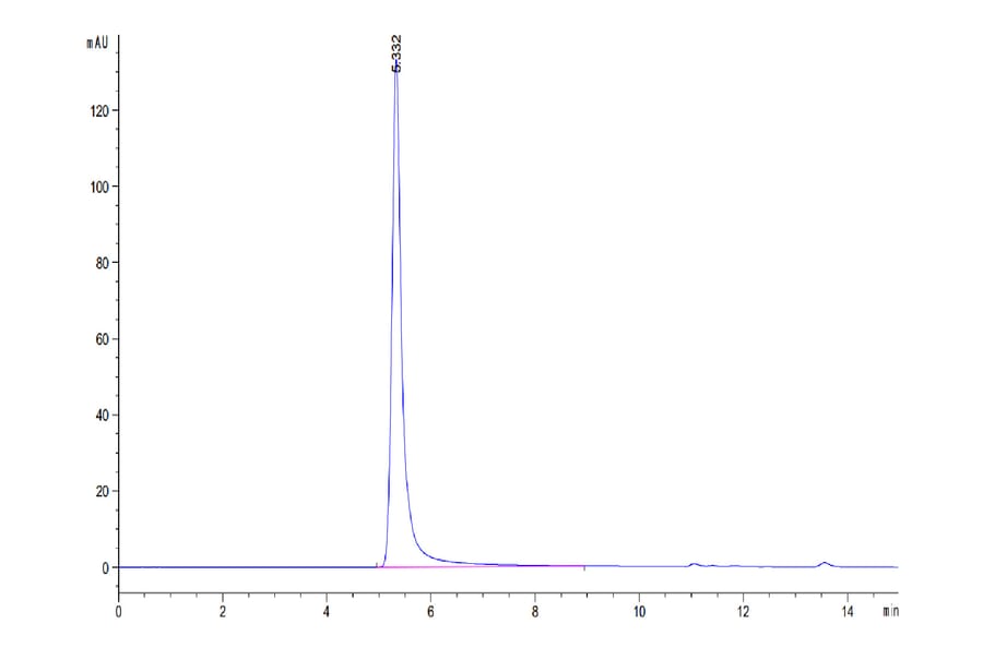 SEC-HPLC - Recombinant Human CD20 Protein (A330260) - Antibodies.com