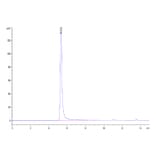 SEC-HPLC - Recombinant Human CD20 Protein (A330260) - Antibodies.com