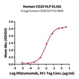 Standard Curve - Recombinant Human CD20 Protein (A330260) - Antibodies.com