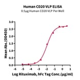 Standard Curve - Recombinant Human CD20 Protein (A330260) - Antibodies.com