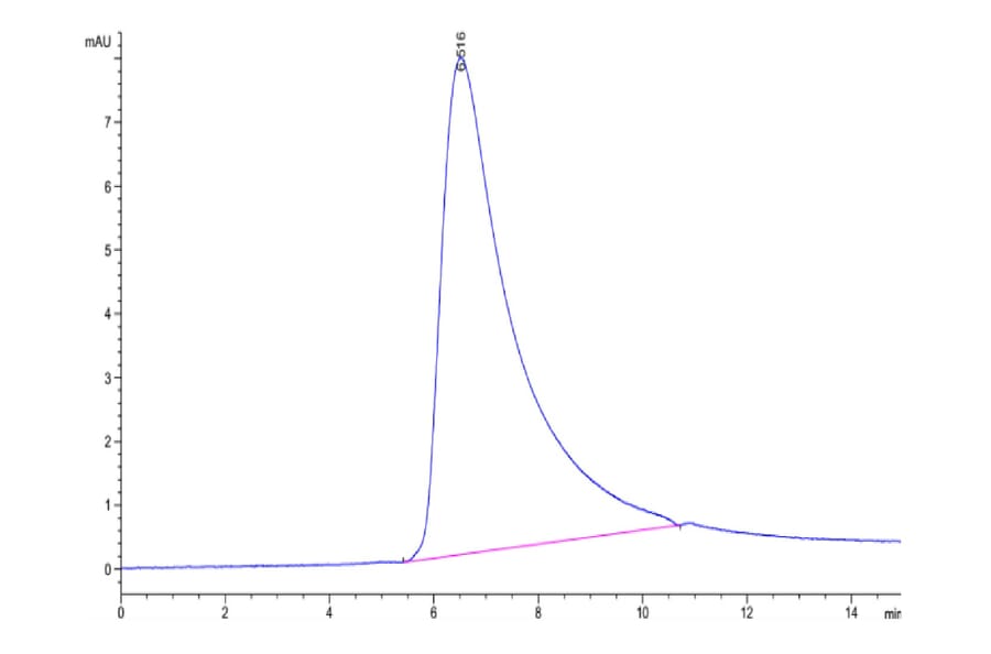 SEC-HPLC - Recombinant Human CD22 Protein (Biotin) (C-terminal His and Avi Tag) (A330265) - Antibodies.com