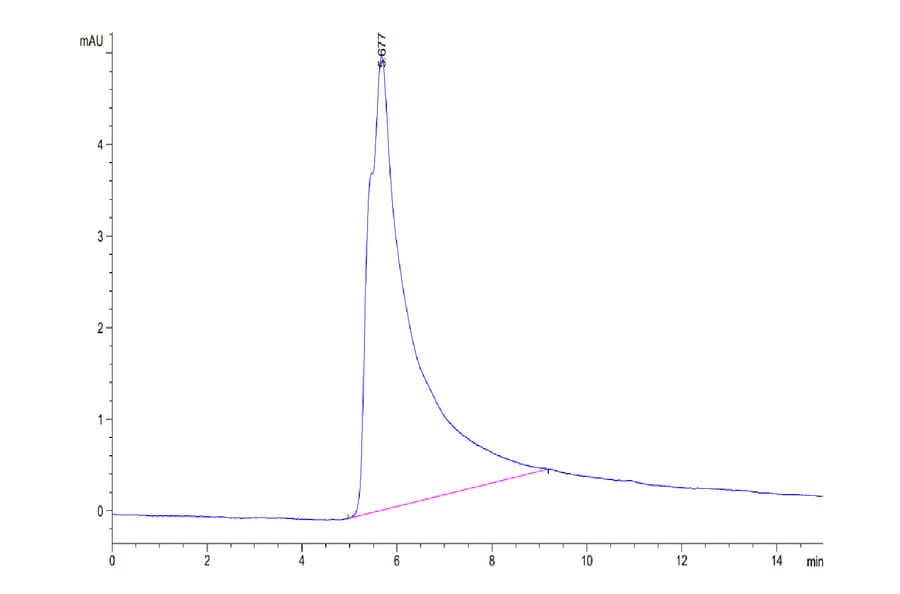 SEC-HPLC - Recombinant Human CD22 Protein (C-terminal His Tag) (A330266) - Antibodies.com