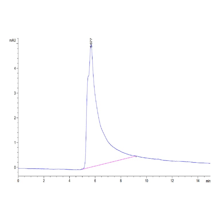 SEC-HPLC - Recombinant Human CD22 Protein (C-terminal His Tag) (A330266) - Antibodies.com