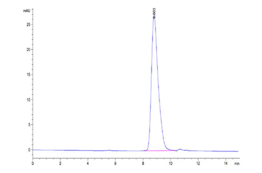 SEC-HPLC - Recombinant Cynomolgus macaque CD226 Protein (C-terminal His Tag) (A330267) - Antibodies.com