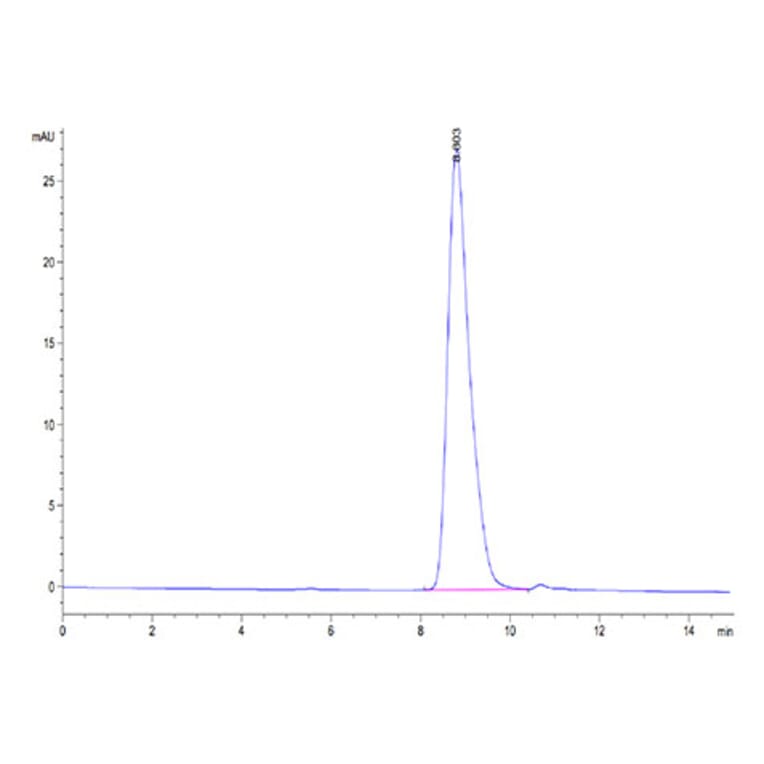 SEC-HPLC - Recombinant Cynomolgus macaque CD226 Protein (C-terminal His Tag) (A330267) - Antibodies.com