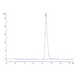 SEC-HPLC - Recombinant Cynomolgus macaque CD226 Protein (C-terminal His Tag) (A330267) - Antibodies.com