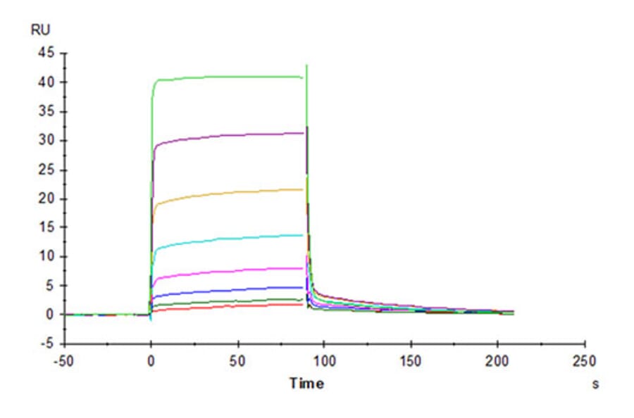 SPR Assay - Recombinant Cynomolgus macaque CD226 Protein (C-terminal His Tag) (A330267) - Antibodies.com